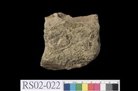 藏品(砂岩)的圖片